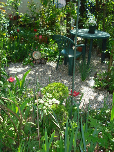DSC00984