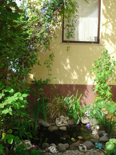 DSC00997