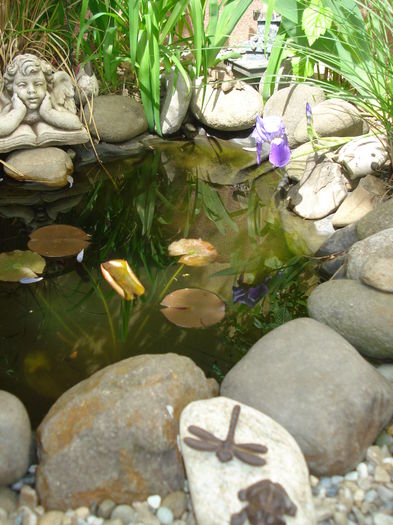 DSC00989 - Gradina 2016