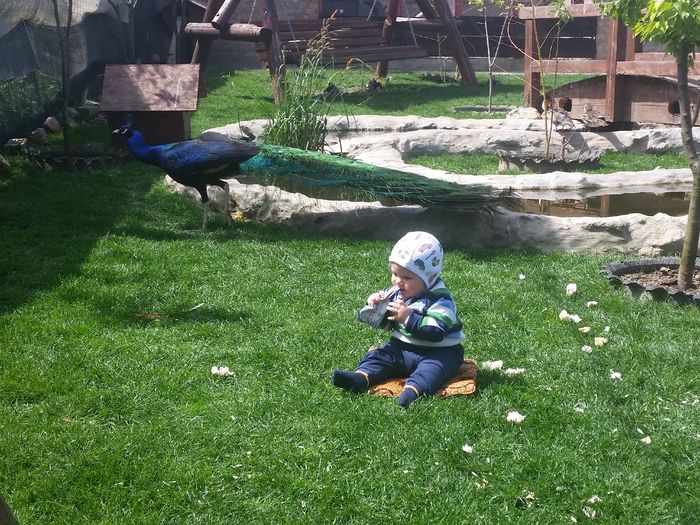 20160418_132650 - nazdravanu lu tati