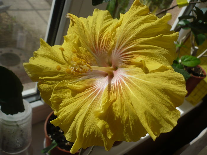 P1250820