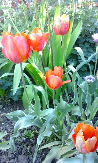IMG_20160417_095926