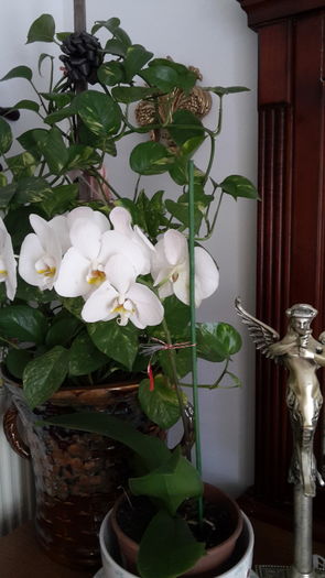 20160415_151445 - aprilie 2016