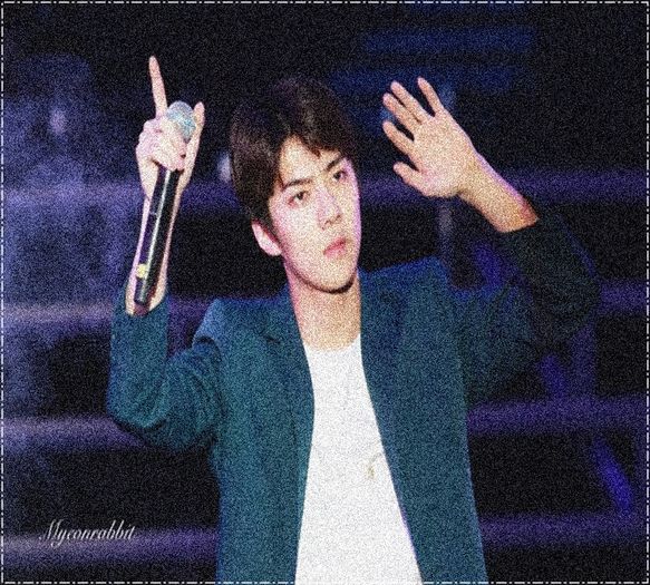 ╳ 245 days l 18.04.2016 ╳