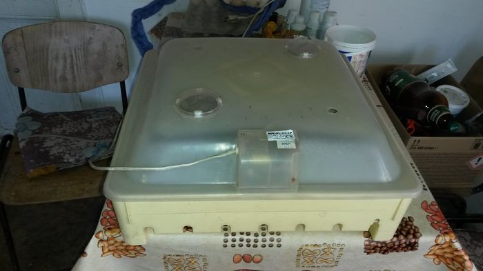 Am împrumutat de la un cunoscut acest incubator marca Argis. Mă poate lămuri cineva dacă este bun?