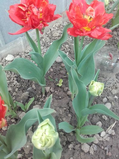 20160418_102618