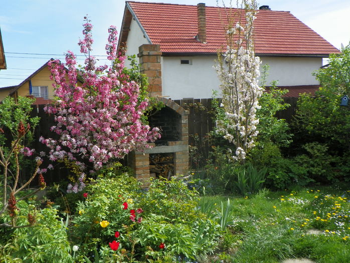 18 apr (21)