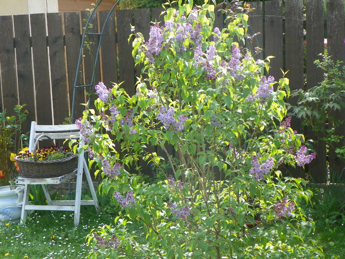 18 apr (67)