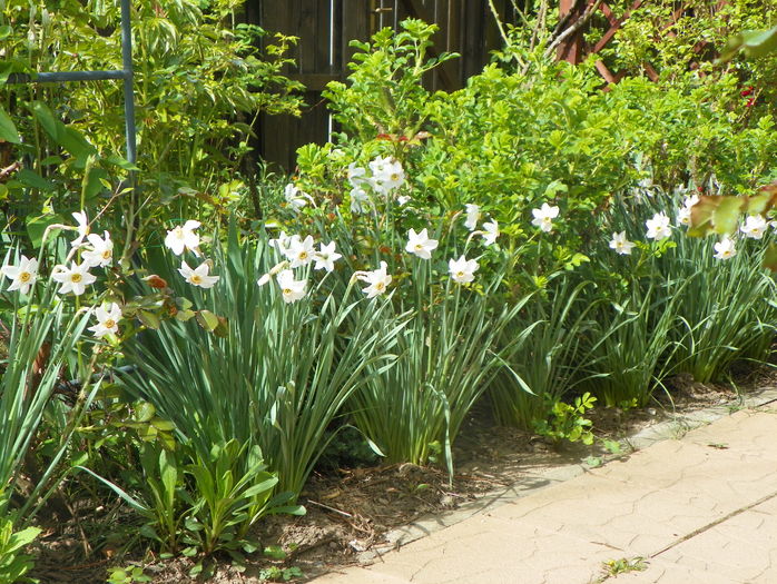 18 apr (83)