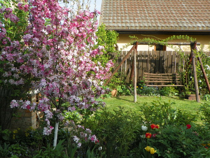 18 apr (131) - Gradina 2016