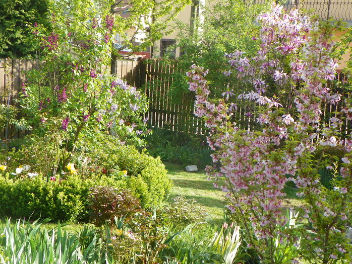 18 apr (137) - Gradina 2016