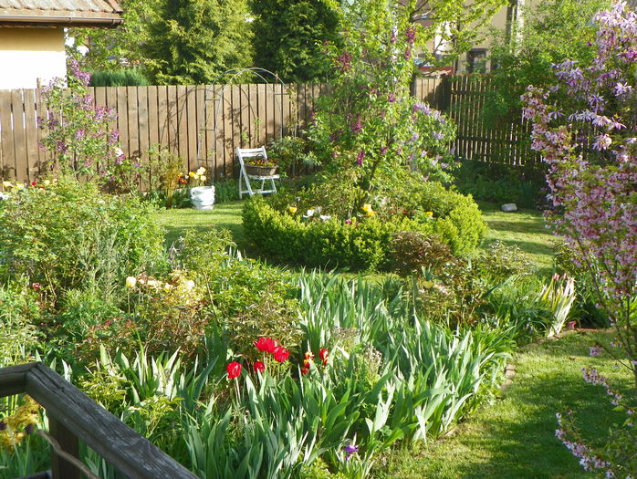 18 apr (138) - Gradina 2016