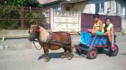 songor' in tinerete cu o olteanca