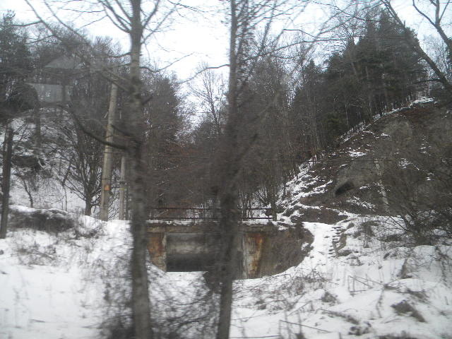 DSCN4634 - 6-7 februarie 2010