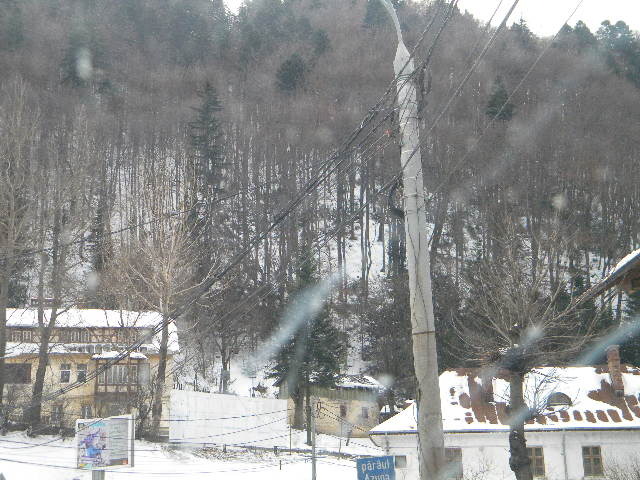 DSCN4637 - 6-7 februarie 2010