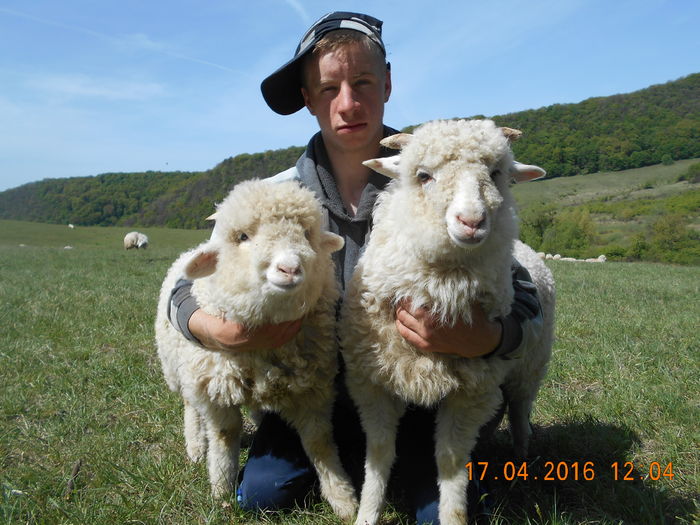 Picture 394 - Productia De Miei 2016