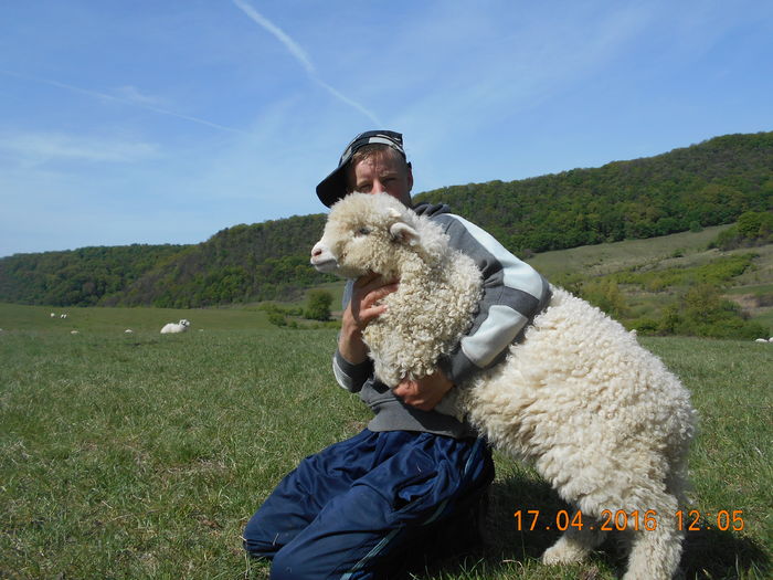 Picture 396 - Productia De Miei 2016