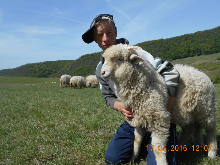 Picture 398 - Productia De Miei 2016