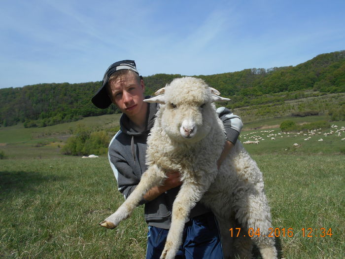 Picture 413 - Productia De Miei 2016