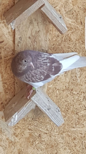 Screenshot_20160419-152012