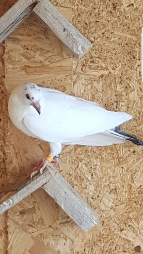 Screenshot_20160419-151940