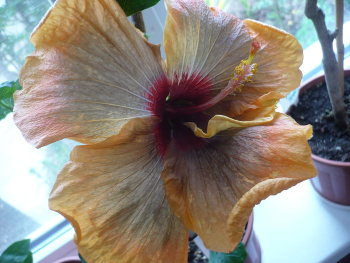 P1250828