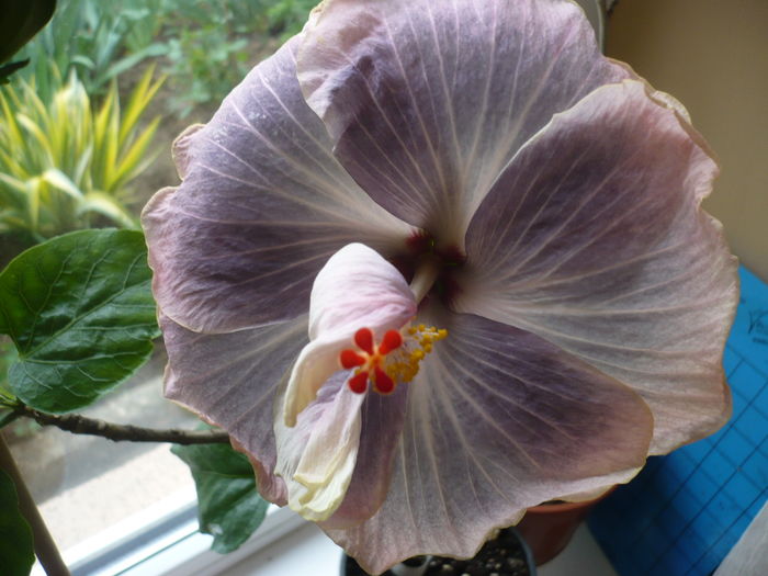 P1250831