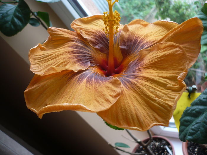 P1250835