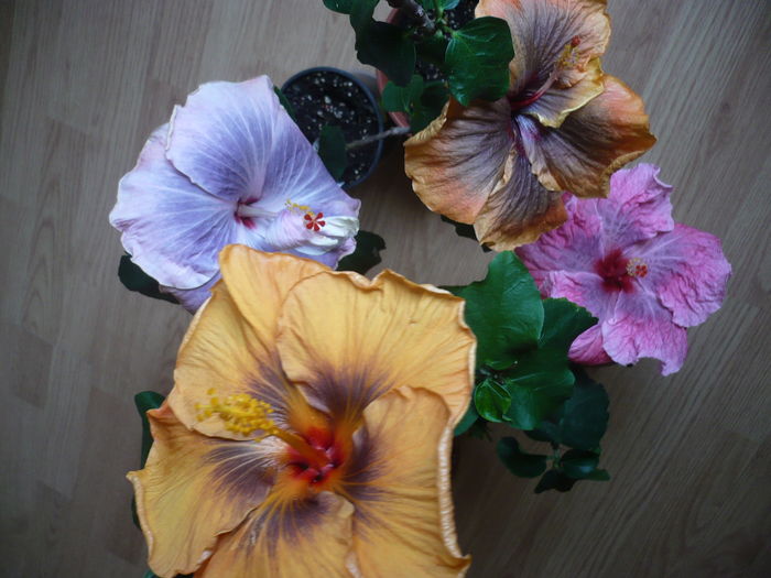 P1250847