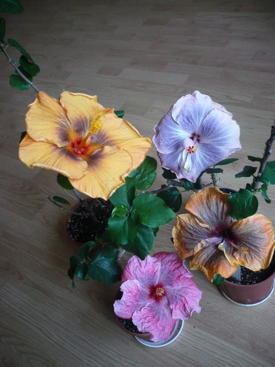 P1250848