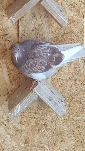 Screenshot_20160419-171951