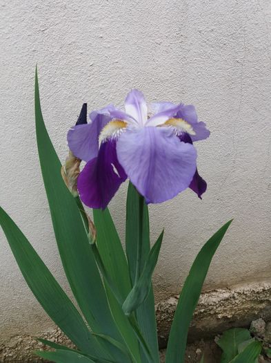 20160419_181112