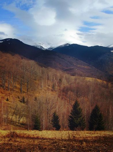DSC04316 - Primavara 2016
