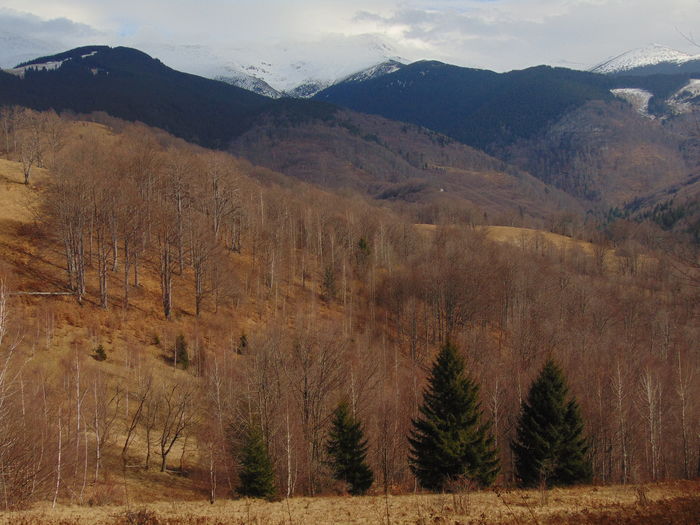 DSC04319