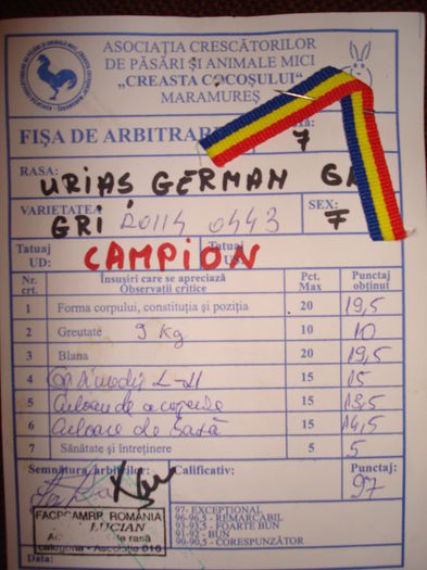 97 pct - Campioana Baia Mare 2015 ( F )