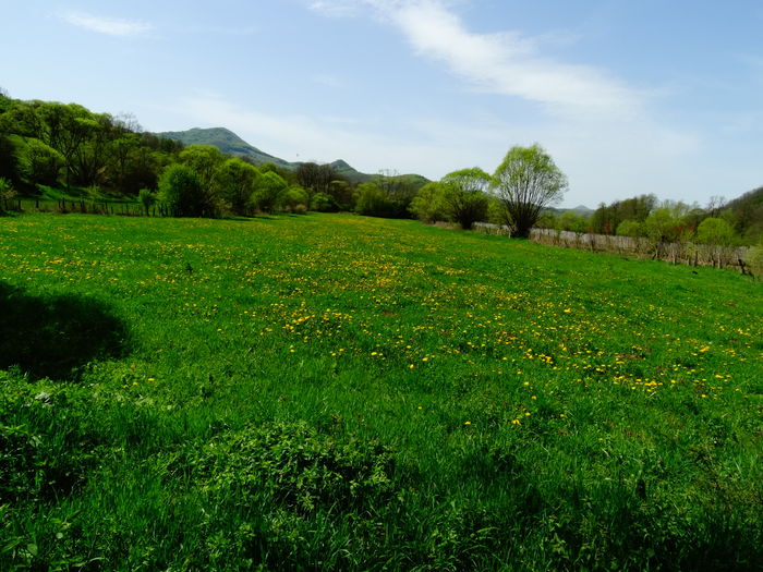 DSC06144 - De prin natura 2016