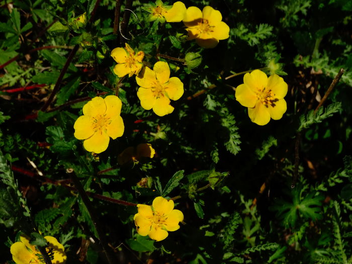 DSC06078