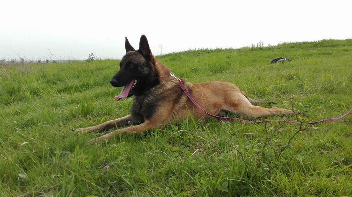 received_1236202833064317