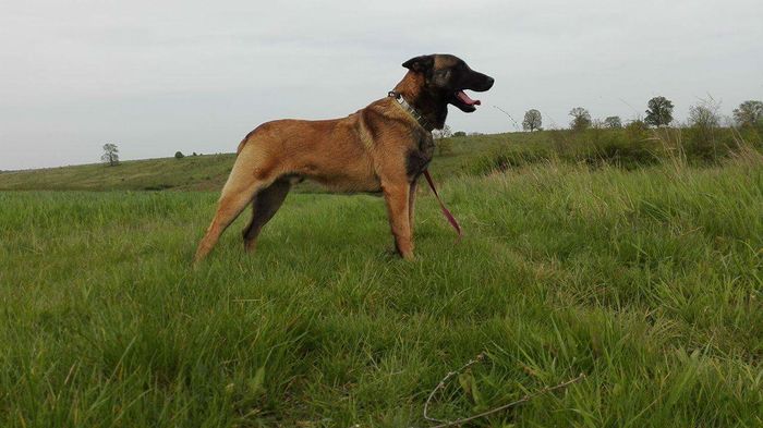 received_1236202863064314