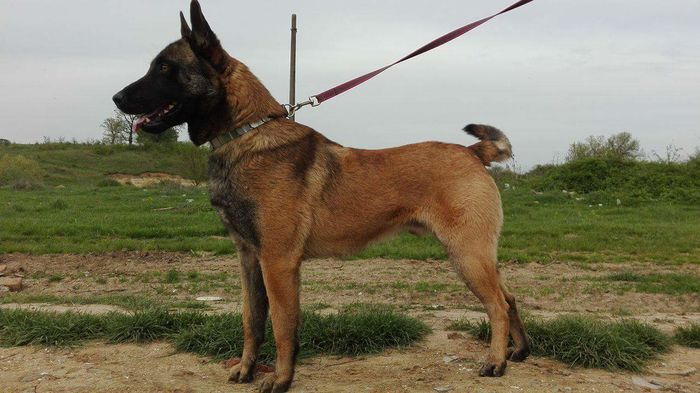 received_1236202776397656