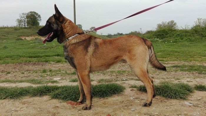 received_1236202779730989