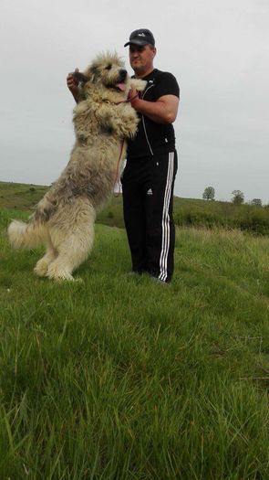 received_1236202846397649