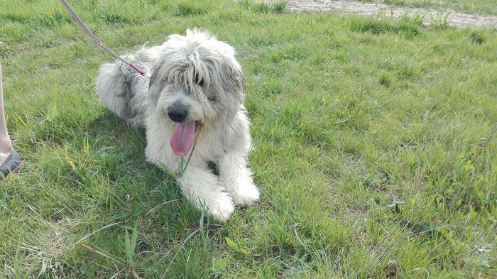 received_1236203106397623