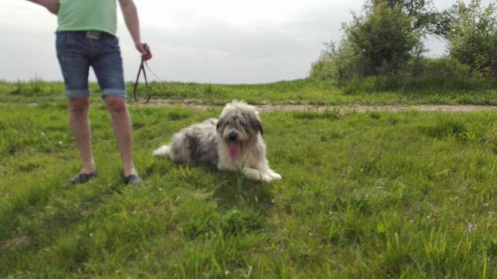 received_1236203113064289