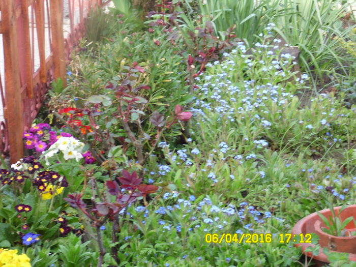 SAM_0632