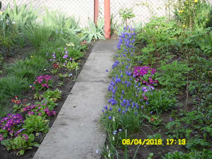 SAM_0634