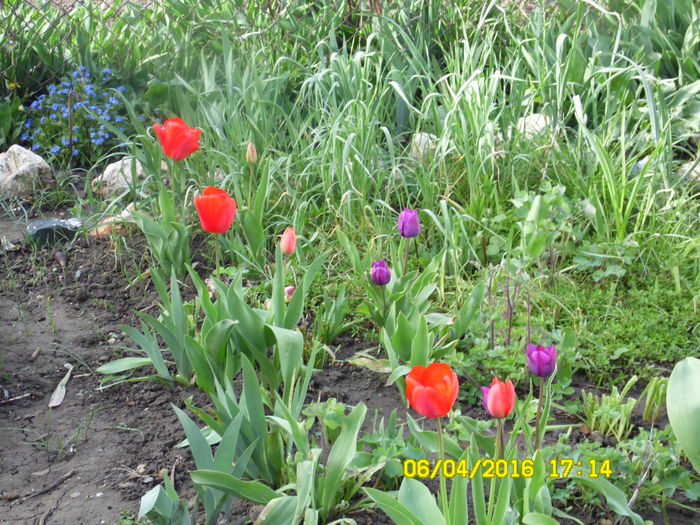 SAM_0636