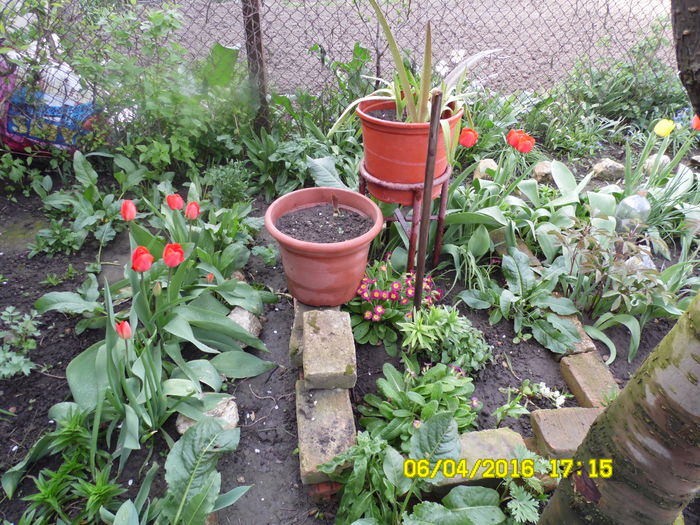 SAM_0637