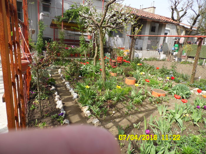 SAM_0647