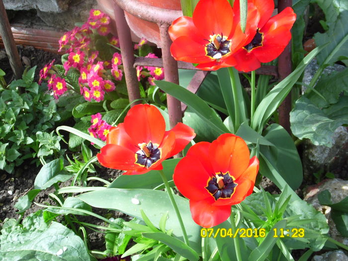 SAM_0650
